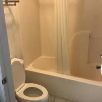 Double Room with Two Double Beds