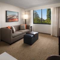 King Studio Suite