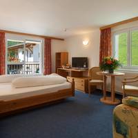 Double Room with Mountain View