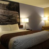 Queen Room - Disability Access/Non-Smoking