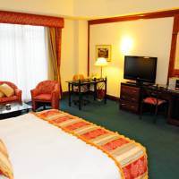 King Studio Suite