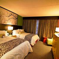 Queen Suite