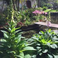 Cottage with Garden View