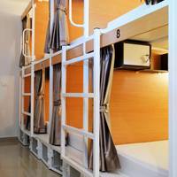 Bunk Bed in Mixed Dormitory Room