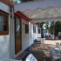 Mobile Home (4 Adults)
