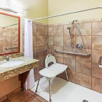 Queen Studio with Roll-In Shower - Disability Access