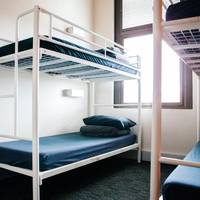 Bed in 4-Bed Mixed Dormitory Room with Shared Bathroom