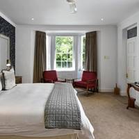 Superior King Suite