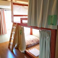Bunk Bed in Mixed Dormitory Room