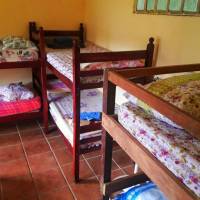 Bed in 8-Bed Mixed Dormitory Room