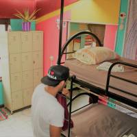 Bed in 8-Bed Dormitory Room