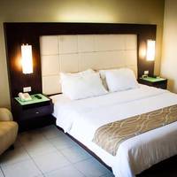 Deluxe King Suite
