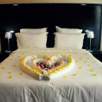 Sweety Suite 