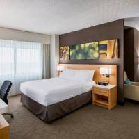 Executive Suite Queen or King