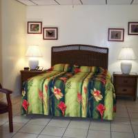 Queen Room with Pool View