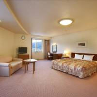 Deluxe Double Room - Smoking