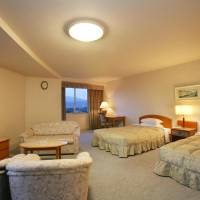 Deluxe Room - Smoking