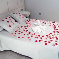Comfort Double or Twin Room