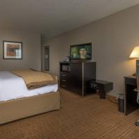 Junior King Suite