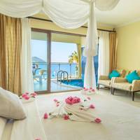 Deluxe Plus Double Room with Hot Tub  