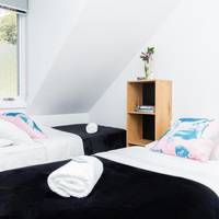 Twin Room (not pet friendly)