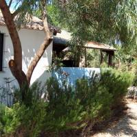Two-Bedroom Bungalow (6 Adults)
