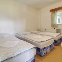 Family Room Standard with 5 beds