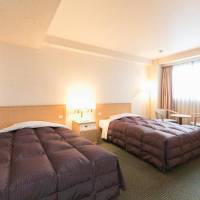 Superior Twin Room - Non-Smoking