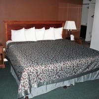 Deluxe King Studio Suite - Non-Smoking