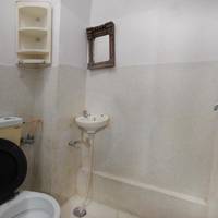 Single Bed in Mixed Dormitory Room