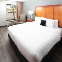 Executive King Room
