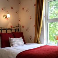 Superior Single Room with Garden View