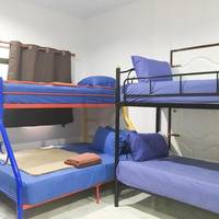 Single Bed in Mixed Dormitory Room