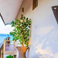 One Bedroom Family Apartment 