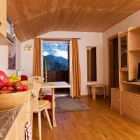Apartment with Mountain View
