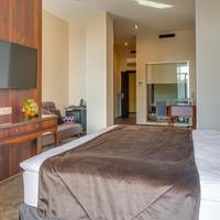Superior Double or Twin Room with River View