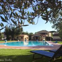 Double Room with Patio