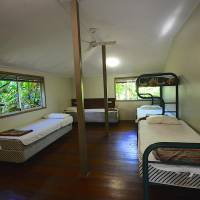 Bed in 4-Bed Mixed Dormitory Room