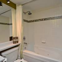 Town Plaza - One-Bedroom Apartment - 4314 Main Street - Unit 342