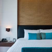 Deluxe Room with Balcony (2 Adults) 