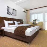 Superior Double or Twin Room (1 Adult)