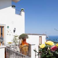 Studio with Terrace