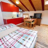One Bedroom Apartment