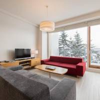 Three-Bedroom Deluxe Apartment