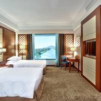 Executive Twin Room with Balcony and View