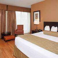 King Suite with Park View - Non smoking