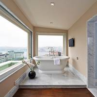 Penthouse Suite with Terrace