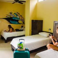 Single Bed in Female Dormitory Room