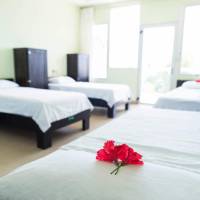 Single Bed in Mixed Dormitory Room