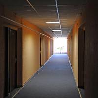 Mixed Dormitory Room